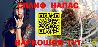 прущие грибы Кингисепп