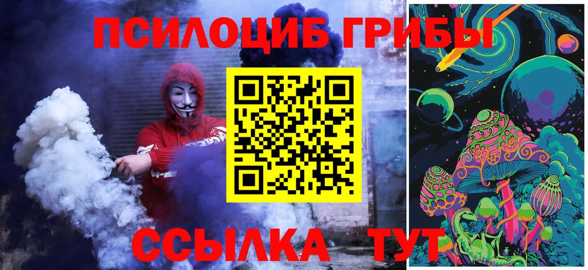 где купить наркоту  Псилоцибиновые грибы мухоморы  Вход с VPN  Котлас 
